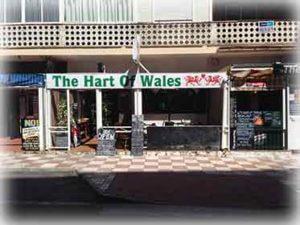 Hart of Wales 2018