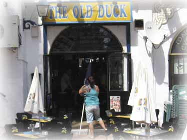 The Old Duck 2014