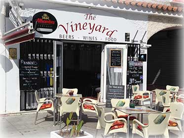 The Vineyard 2018