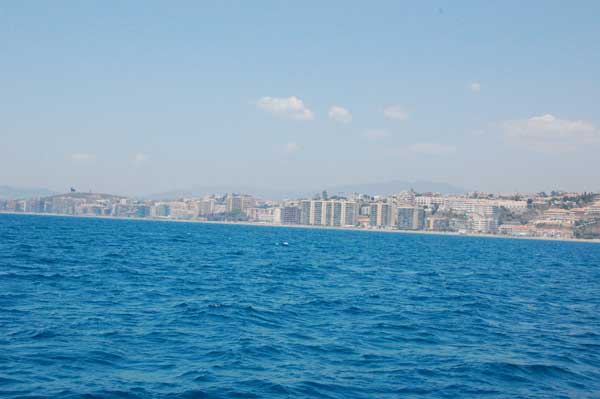 DSC 1459