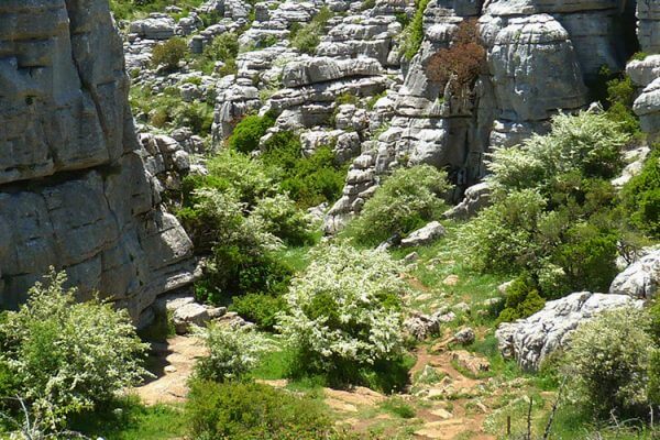 El Torcal2