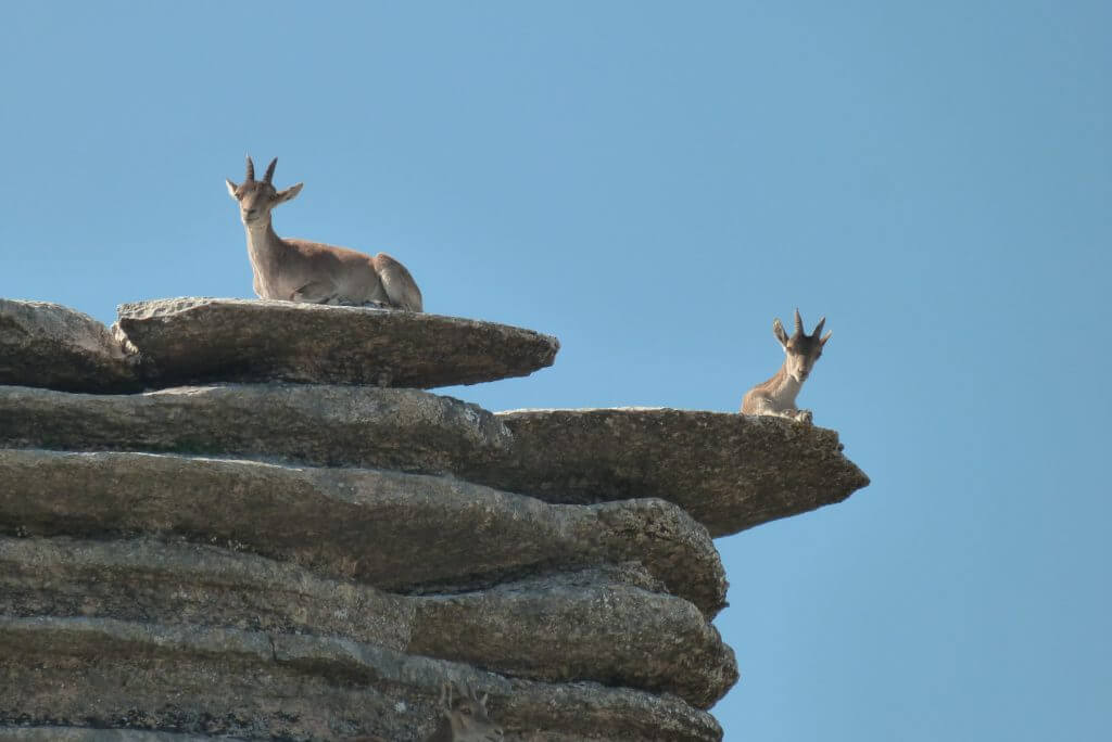 El Torcal4