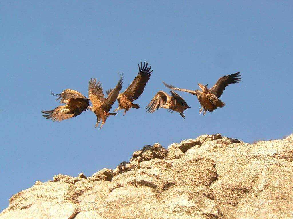 El Torcal5