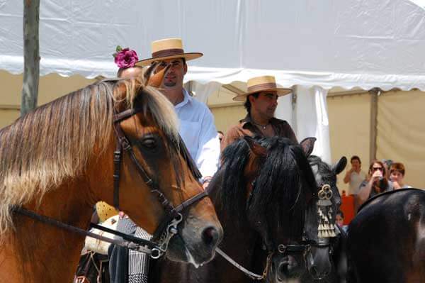 Romeria 001