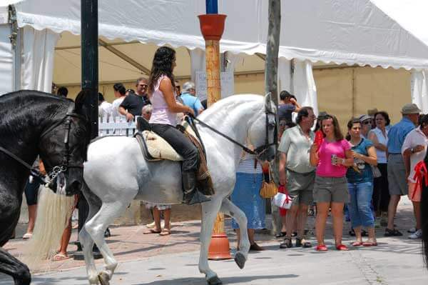 Romeria 006
