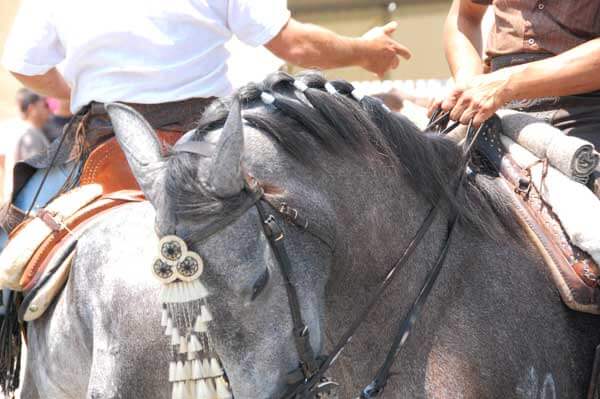 Romeria 011