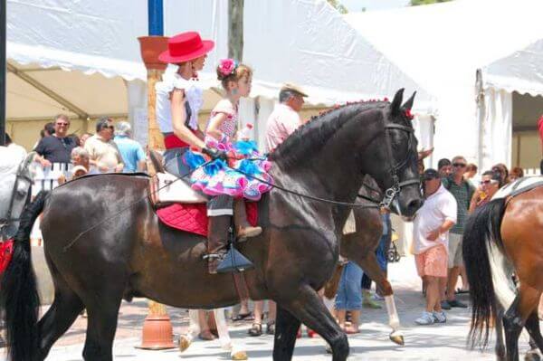 Romeria Aaa005
