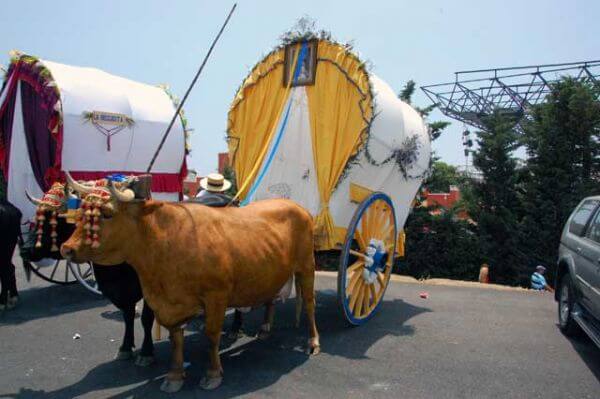 Romeria Aaa022