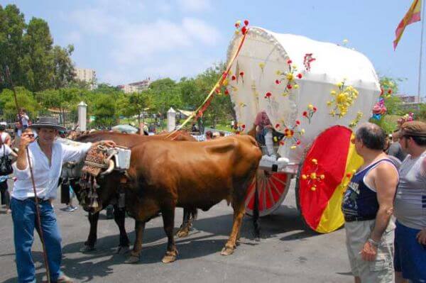 Romeria Aaa023
