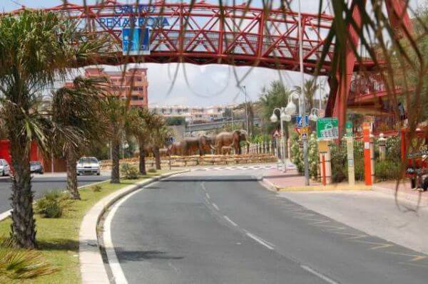 Roundabout DSC 1344