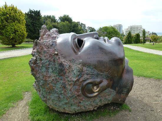 Head