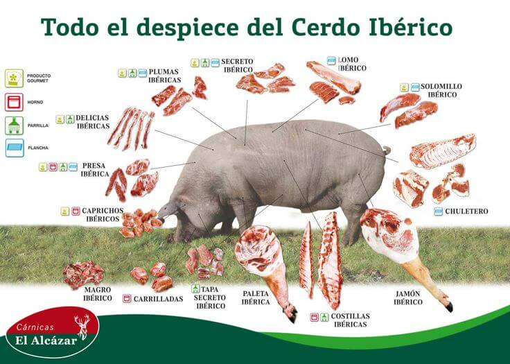 Iberico Chart