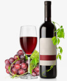 Vinoteca