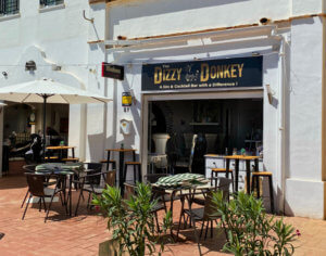 Dizzy Donkey