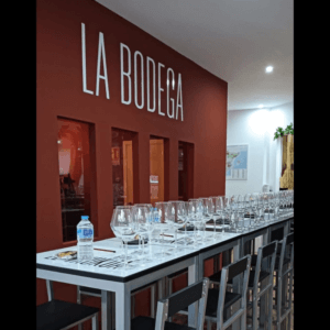 Txokoa Bodega