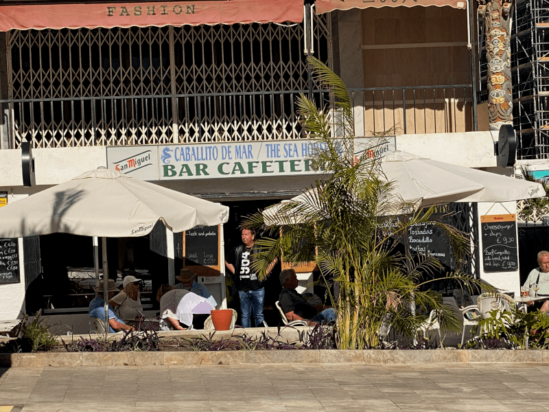 caballito_de_mar2024