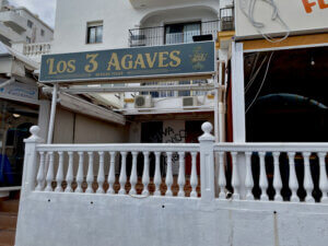 Los 3 Agaves March 2026