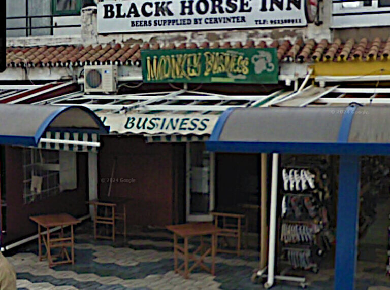 Monkey Business 2011